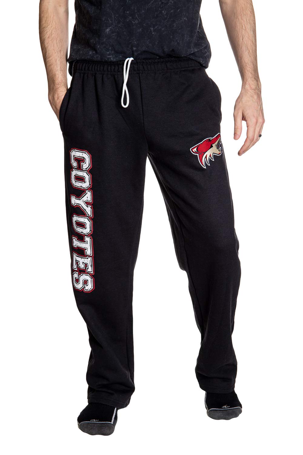 Arizona Coyotes